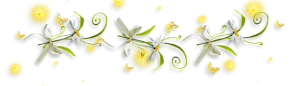 0d0dba877f90581af118d32c21a1eb5b